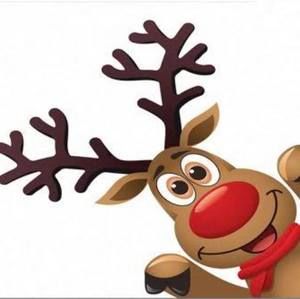 Meet your Posher, Janelle